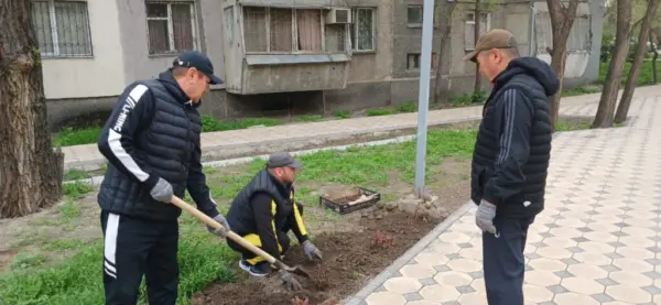 нов суботник 3 1024x473