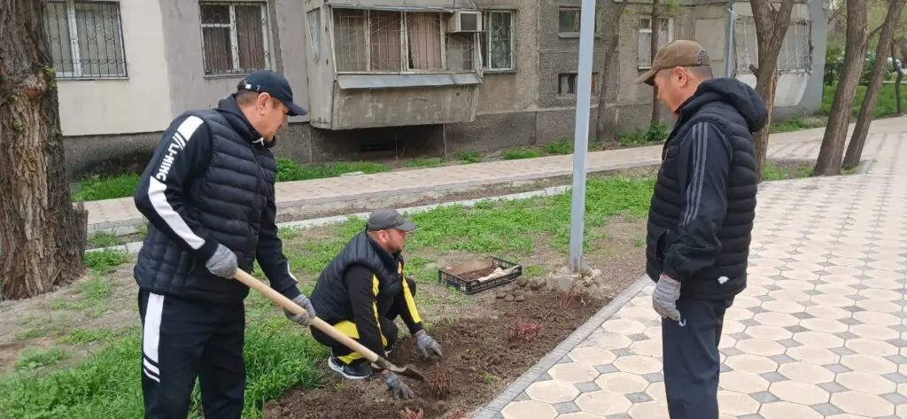 нов суботник 3 1024x473