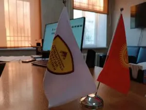 Photo 5381967405326127589 y 300x225